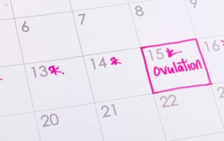 calendario dell'ovulazione