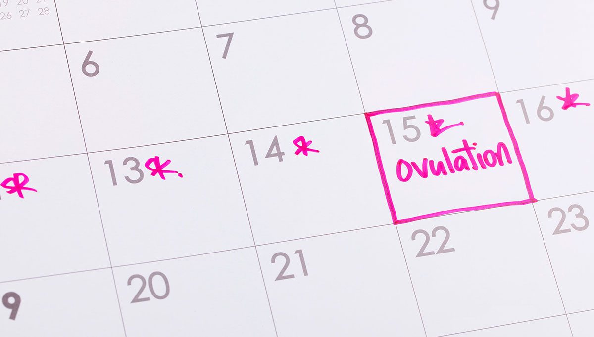 calendario dell'ovulazione