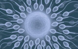 aumentare la qualità dello sperma